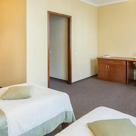 מלון Patriarshyi 3*